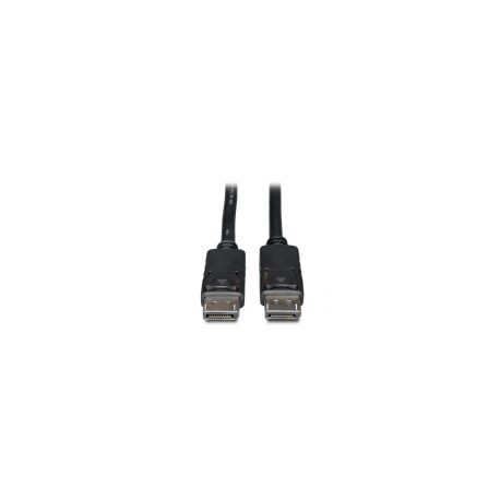 Cable Tripp Lite Displayport Macho 6.1M Negro P580-020