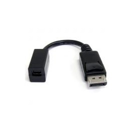 Cable Adaptador Startech.Com Displayport A Mini Displayport 15Cm