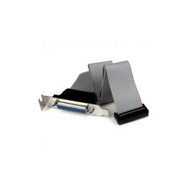 Adaptador Bracket Paralelo  40Cm Db25 A Idc26 Startech Plate25F16Lp