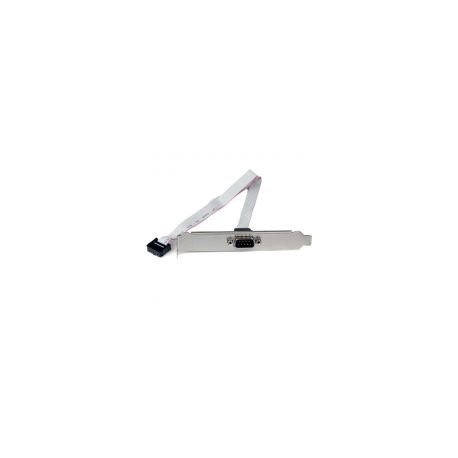 Adaptador De Bracket Serial Db9 Rs232 A Idc10 Startech Plate9M16