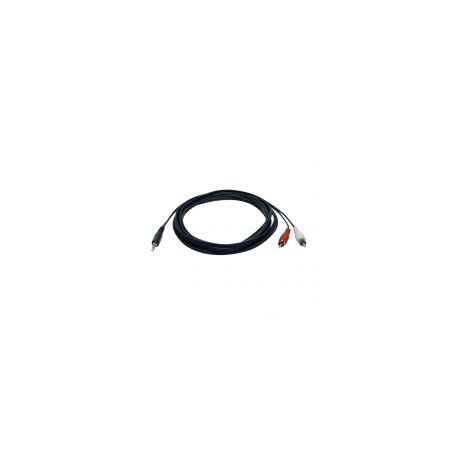 Cable Tripp Lite 3.5Mm Macho A Rca Macho 3.66M Negro P314-012